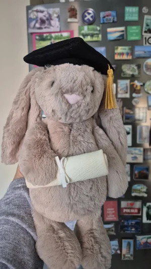 A photo of Bashful Bunny Graduation Outfit Jellycat taken by MissBunnyNuts