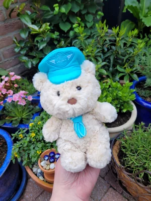 Bartholomew Bear Junior 'Pilot' Jellycat photo