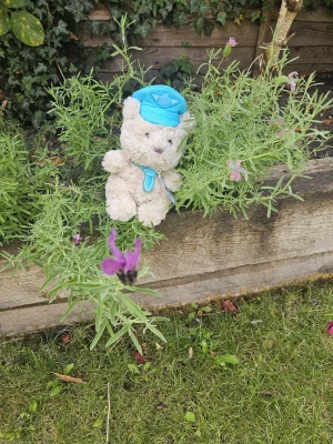 Bartholomew Bear Junior 'Pilot' Jellycat photo uploaded by Ilovejelly
