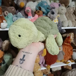 Tully Turtle Jellycat photo uploaded by herbgardenplush