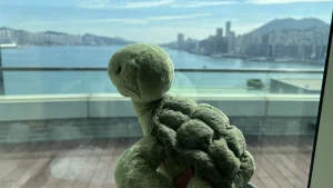 Tully Turtle Jellycat photo
