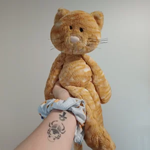 Merryday Ginger Cat Jellycat | Jelly Journal