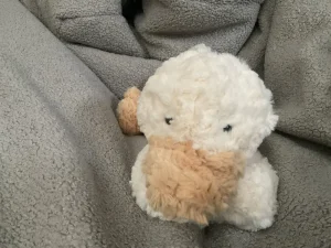 Tumblie Duck Jellycat photo