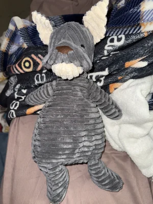 A photo of Cordy Roy Grey Dog Jellycat taken by Lexijoyce