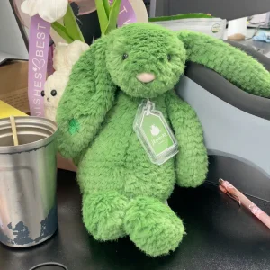 Bláthnaid Bunny Jellycat | Jelly Journal