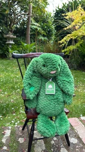 Bláthnaid Bunny Jellycat | Jelly Journal