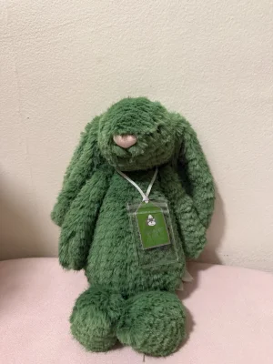 Bláthnaid Bunny Jellycat | Jelly Journal