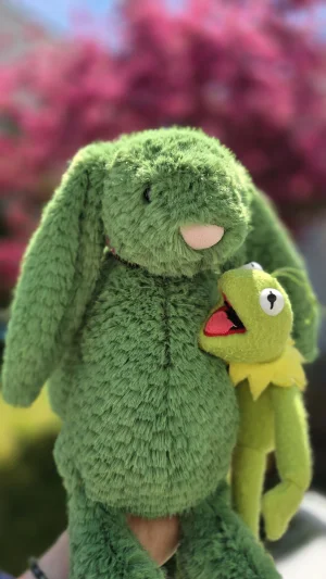 Bláthnaid Bunny Jellycat photo