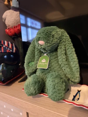 Bláthnaid Bunny Jellycat | Jelly Journal