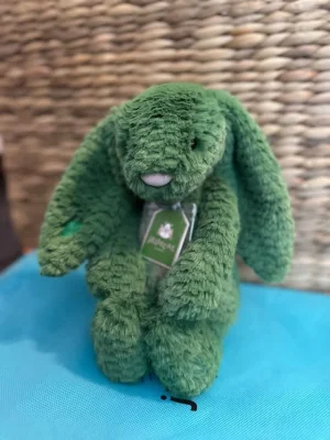 Bláthnaid Bunny Jellycat | Jelly Journal
