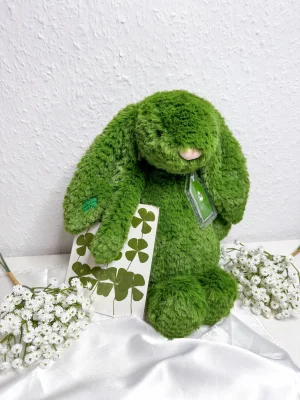 Bláthnaid Bunny Jellycat | Jelly Journal