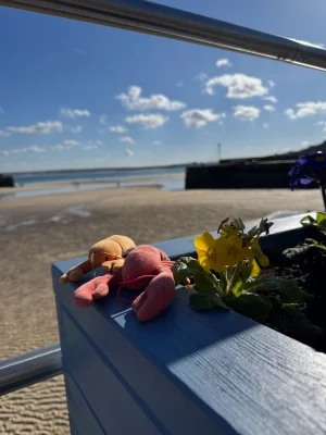 Sensational Seafood Lobster Jellycat photo