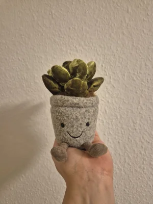 Silly Succulent Jade Jellycat photo