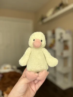 Bashful Chick - Small Jellycat photo uploaded by MaysJellys