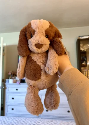 A photo of Bashful Spaniel - Medium Jellycat taken by Stephmarie207