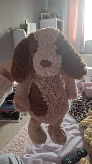 Bashful Spaniel - Medium Jellycat photo