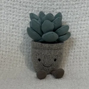Silly Succulent Azulita Jellycat | Jelly Journal