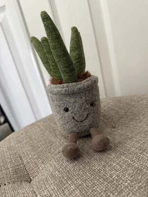 Silly Succulent Aloe Jellycat | Jelly Journal