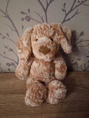 Curly Twirly Dog Jellycat photo