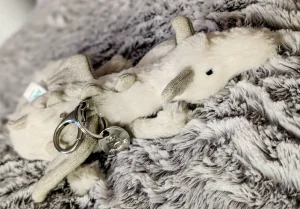 A photo of Snow Dragon Bag Charm Jellycat taken by Jelly_shebear