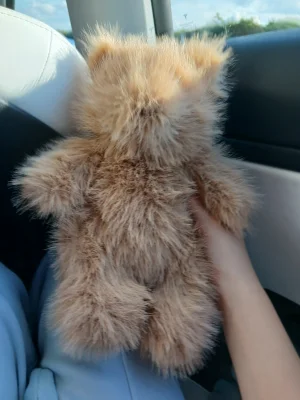 A photo of Bartholomew Bear Bouffant Jellycat taken by Ameliaj2015