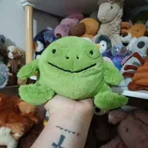 Ricky Rain Frog Smiling Jellycat | Jelly Journal