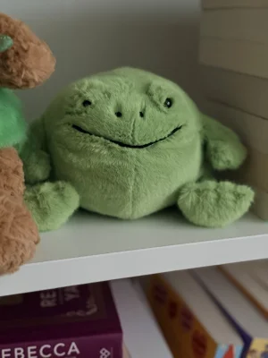Ricky Rain Frog Smiling Jellycat | Jelly Journal