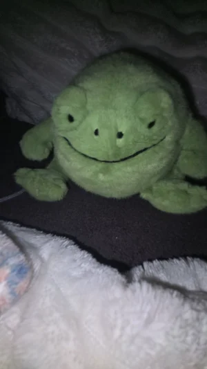 Ricky Rain Frog Smiling Jellycat | Jelly Journal