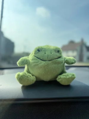 Ricky Rain Frog Smiling Jellycat | Jelly Journal