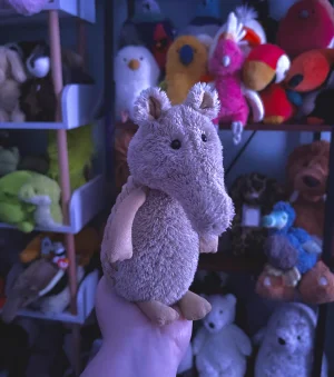 A photo of Angus Armadillo Jellycat taken by kaleighsjellies
