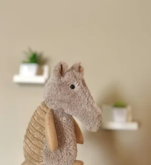 A photo of Angus Armadillo Jellycat taken by kaleighsjellies