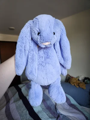 A photo of Bashful Bluebell Bunny - Large Jellycat taken by emilliebee