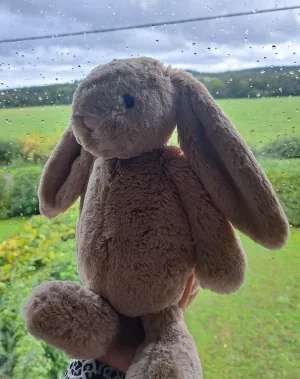 Bashful Beige Bunny - Medium Jellycat photo