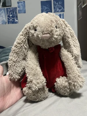 Bashful Beige Bunny - Medium Jellycat photo uploaded by teddybutch
