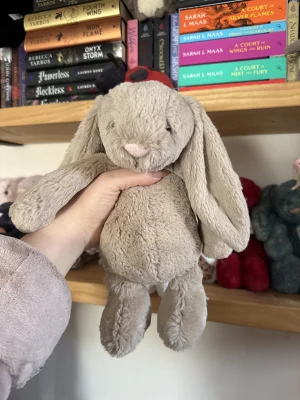 Bashful Beige Bunny - Medium Jellycat | Jelly Journal