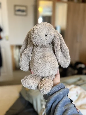 Bashful Beige Bunny - Medium Jellycat | Jelly Journal