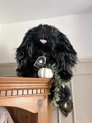 Inkli Bunny Jellycat | Jelly Journal