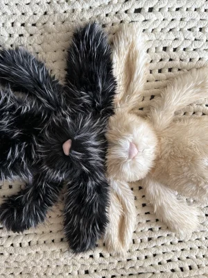 Photo by Lollysjellycats