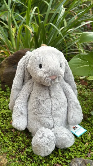 Bashful Silver Bunny - Medium Jellycat | Jelly Journal