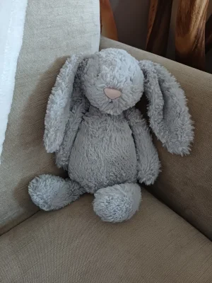 Bashful Silver Bunny - Medium Jellycat | Jelly Journal