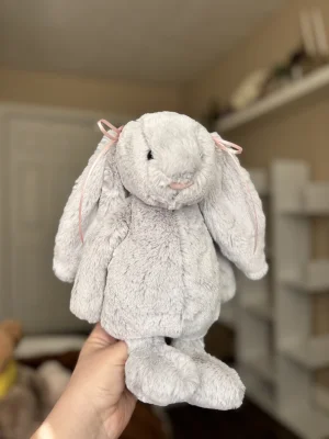 Bashful Silver Bunny - Medium Jellycat photo uploaded by MaysJellys