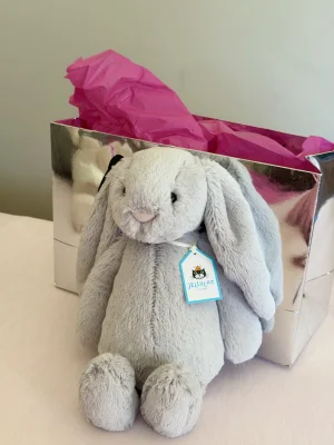 Bashful Silver Bunny - Medium Jellycat | Jelly Journal