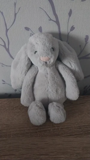 Bashful Silver Bunny - Medium Jellycat photo uploaded by Hope_Collectablez