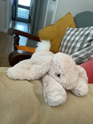 Smudge Rabbit Jellycat photo