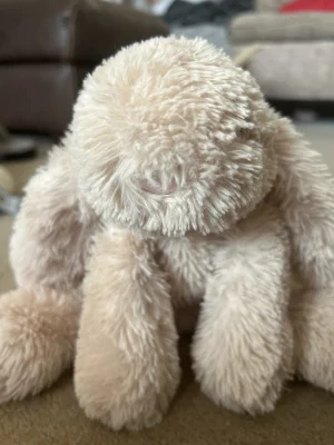 Smudge Rabbit Jellycat photo