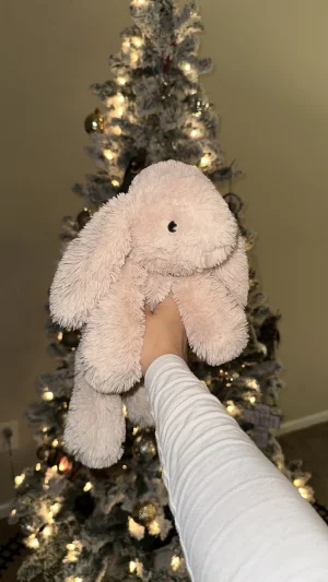 Smudge Rabbit Jellycat photo uploaded by brisjellyjournal