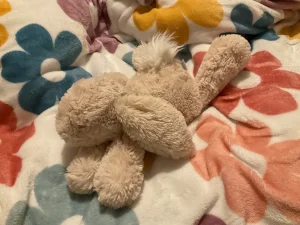 Smudge Rabbit Jellycat photo