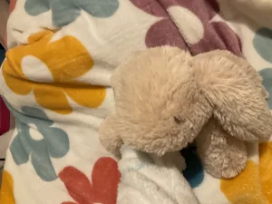 Smudge Rabbit Jellycat photo