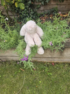 Smudge Rabbit Jellycat photo uploaded by Ilovejelly