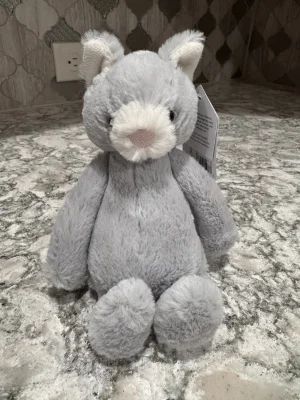 Bashful Kitty - Small Jellycat | Jelly Journal